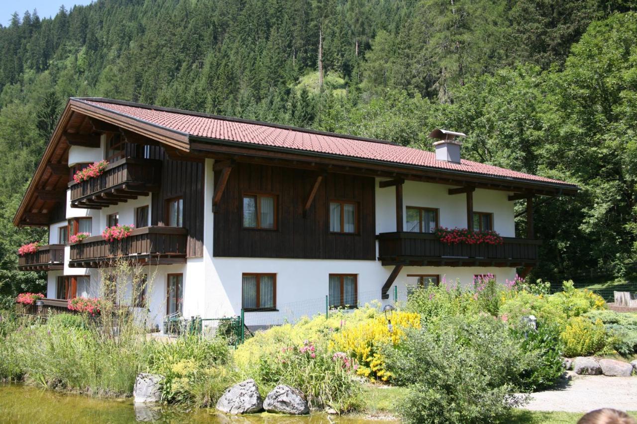 Appartement Haus Montana